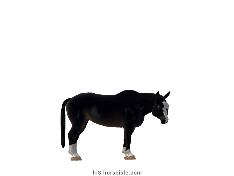 Cow-pony Omby Mealy Black Coat